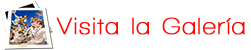 Visita la galería